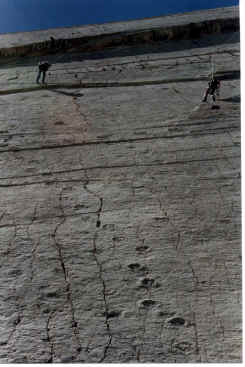 Piste di dinosauri sulla parete esplorata