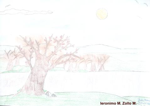 1 premio per il colore