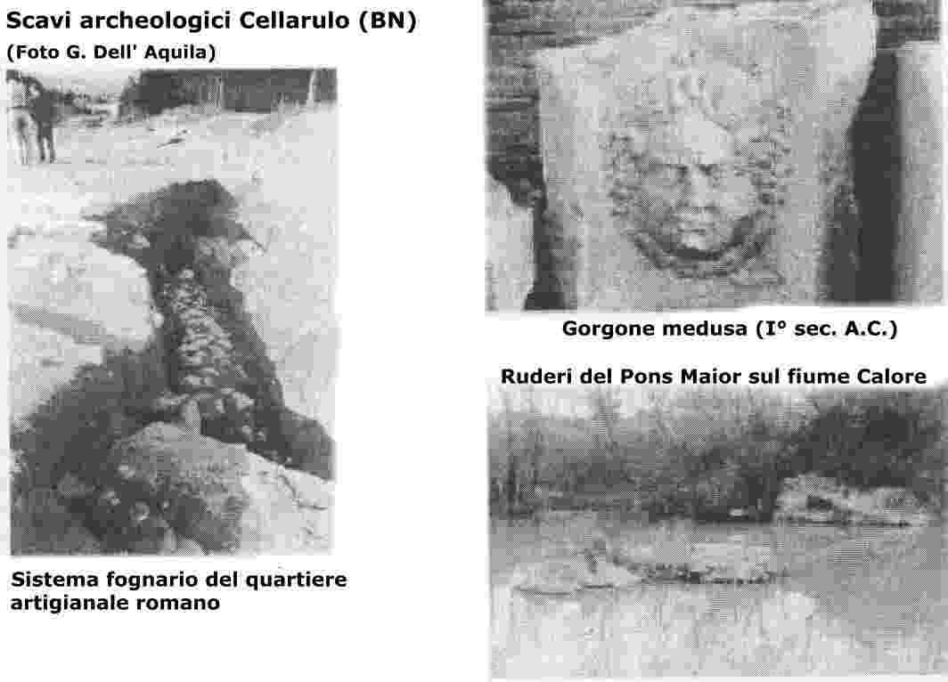 cellarulo
