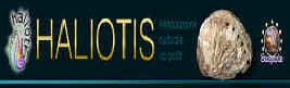 logo haliotis