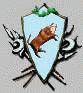 logo Provincia Benevento