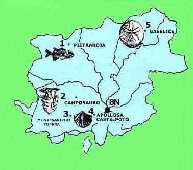 mappa dei fossili in BN