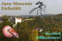 logo museo jura